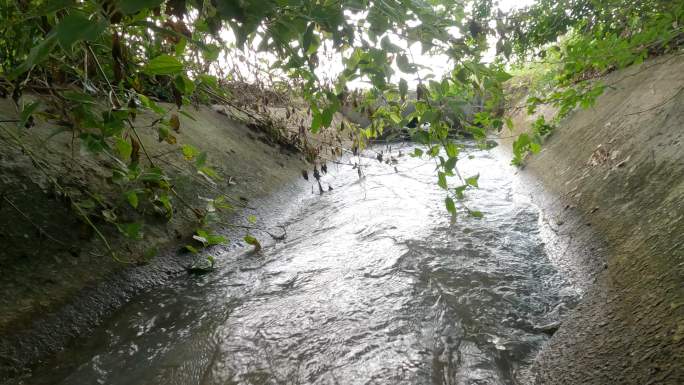这是一幅湍急的溪流在混凝土沟渠中流动的景象，沟渠里有树木和草地。