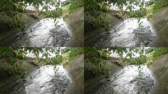 这是一幅湍急的溪流在混凝土沟渠中流动的景象，沟渠里有树木和草地。
