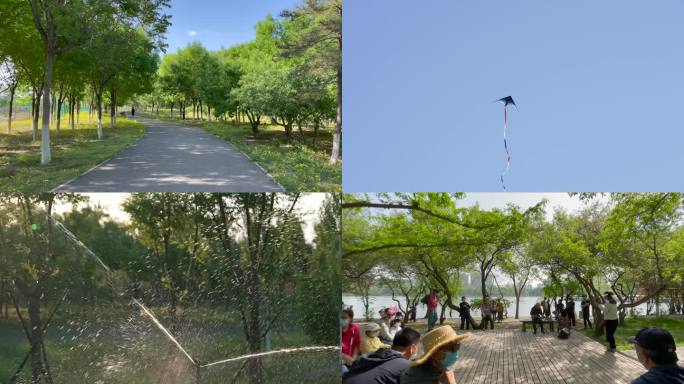 春天公园郊游、春天公园野餐