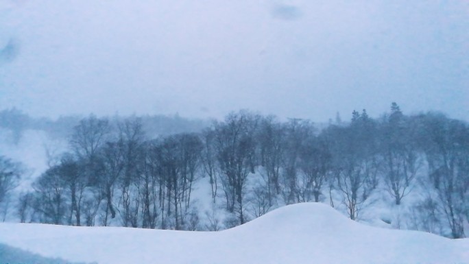 美丽的冬季景观，下雪。