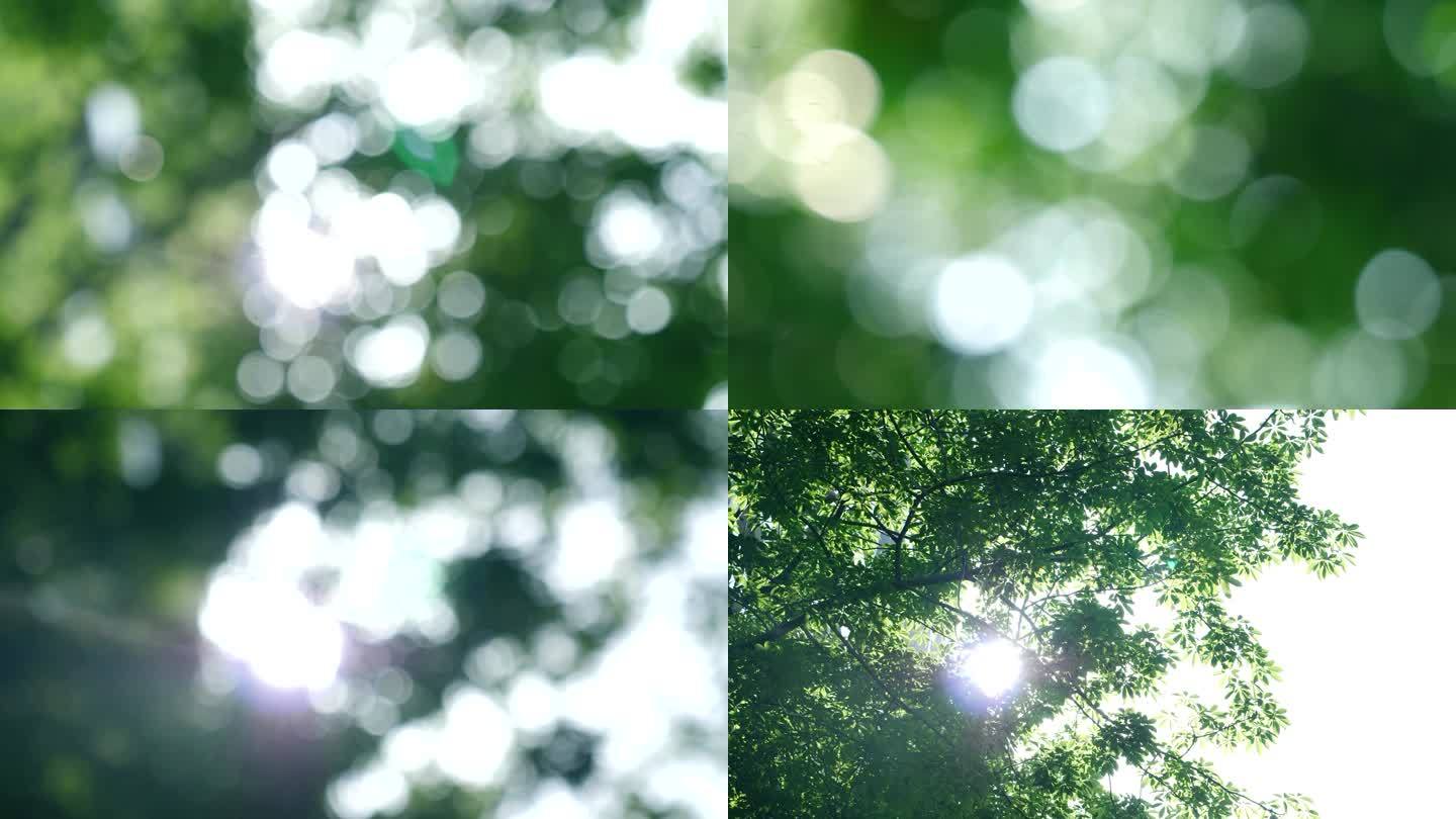 楼下阳光穿过树叶唯美光斑闪烁4k视频素材