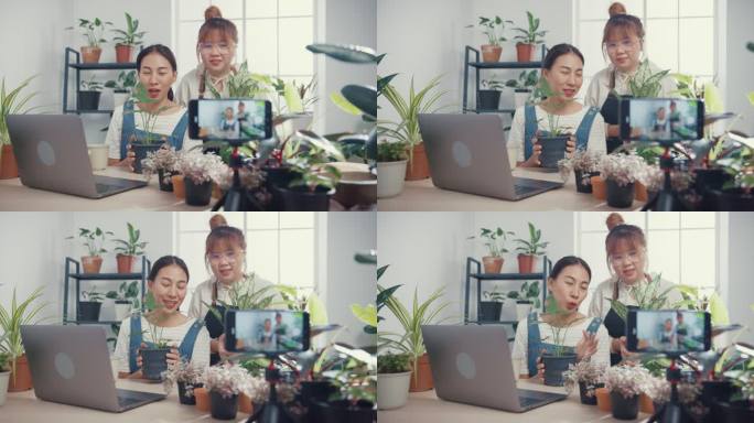 亚洲年轻女性早上在树店使用笔记本电脑接受订单并通过电话在线播放植物录制视频。