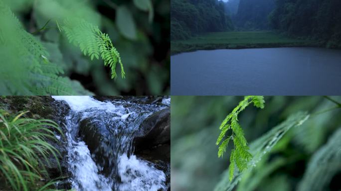 绿植树叶流水小溪