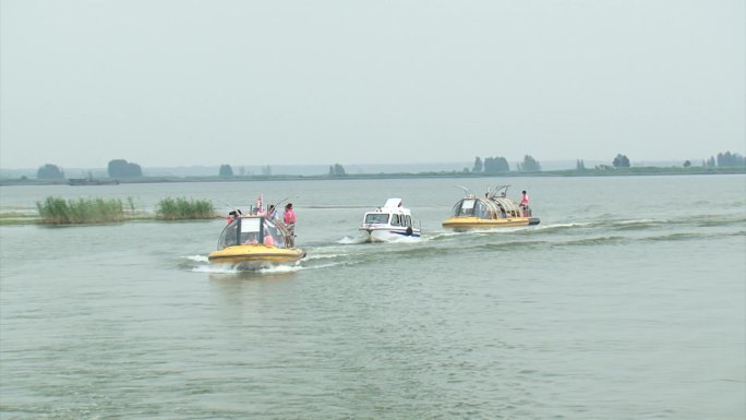 湿地里行驶的游船