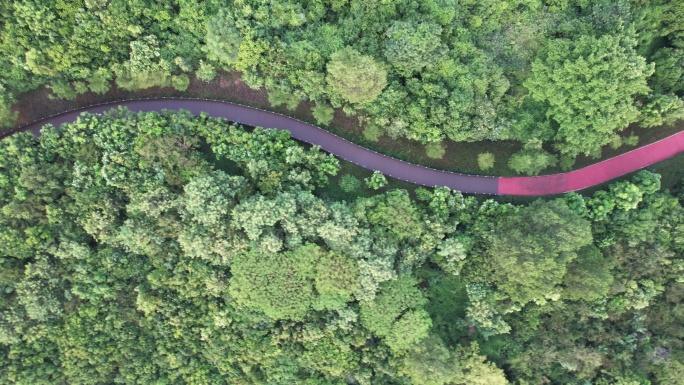 【正版素材】深圳宝安石岩湖，石岩水库