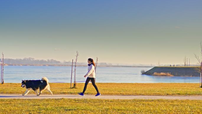 在湖边草地上的人行道上，一个女人带着宠物哈士奇狗散步
