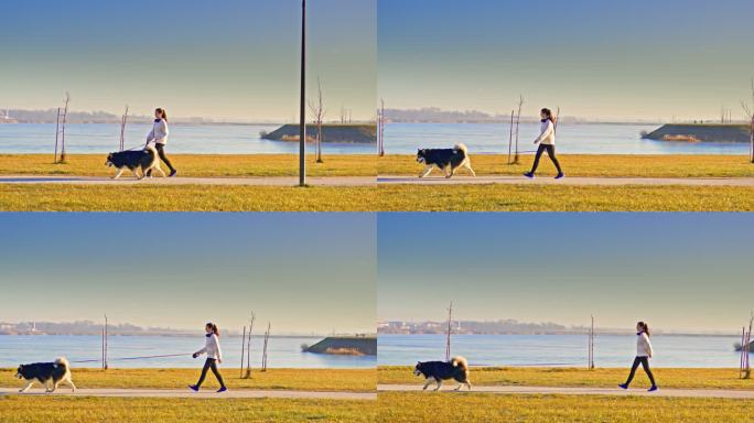 在湖边草地上的人行道上，一个女人带着宠物哈士奇狗散步