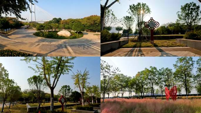临江仙公园 绿色生态 公园环境 江景公园