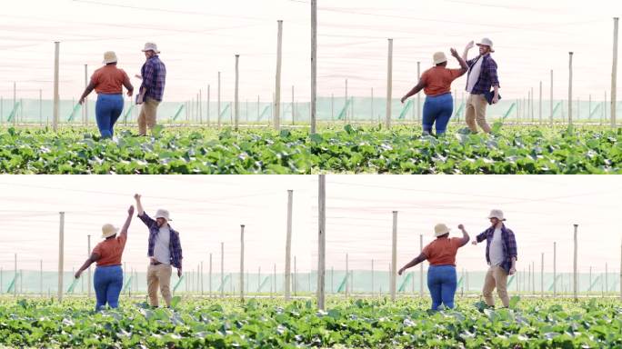 4k视频片段，一名年轻男子和一名女子在农场工作时互相击掌致意