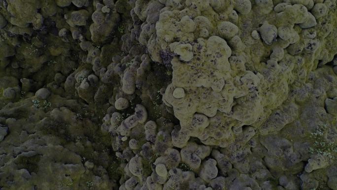 Wide无人驾驶飞机直接在覆盖着苔藓层的Eldraun熔岩场上方拍摄的特写镜头