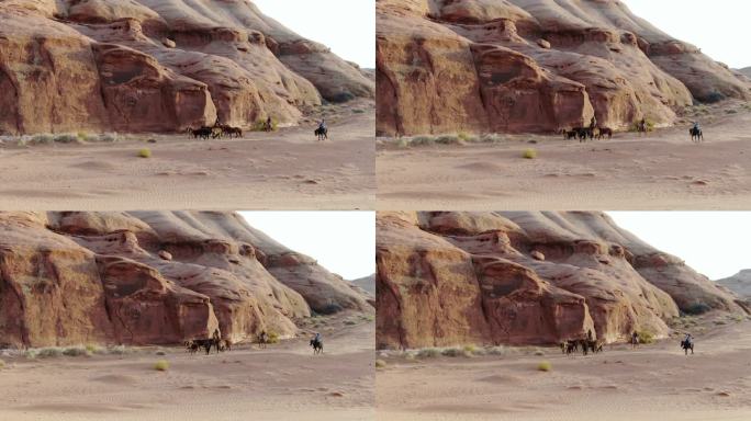 纳瓦霍三姐妹牧马航拍新疆沙漠公路骆驼一带