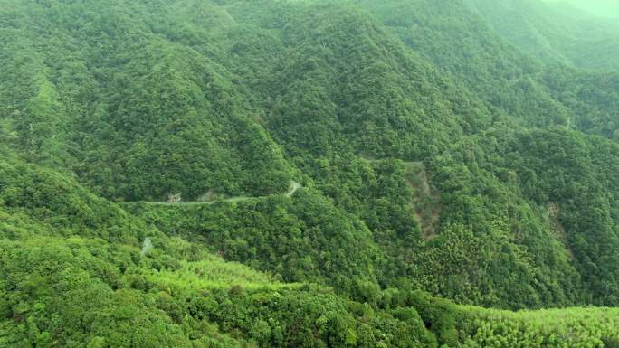 皖南川藏线桃岭