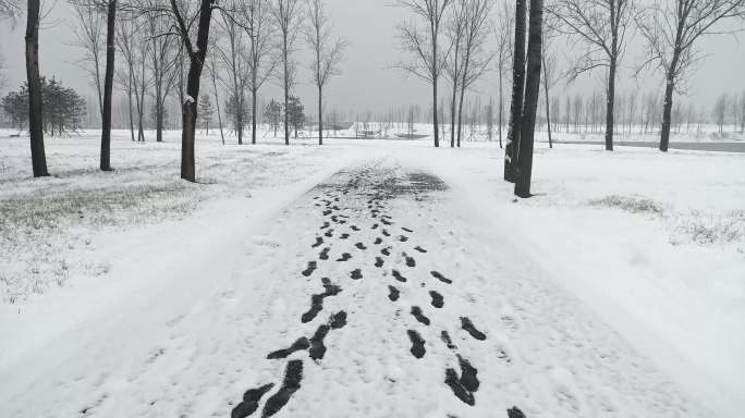 大雪雪后下雪脚印树林寒冷安静孤独