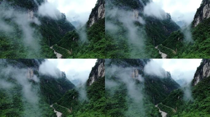 雾气弥漫的山谷