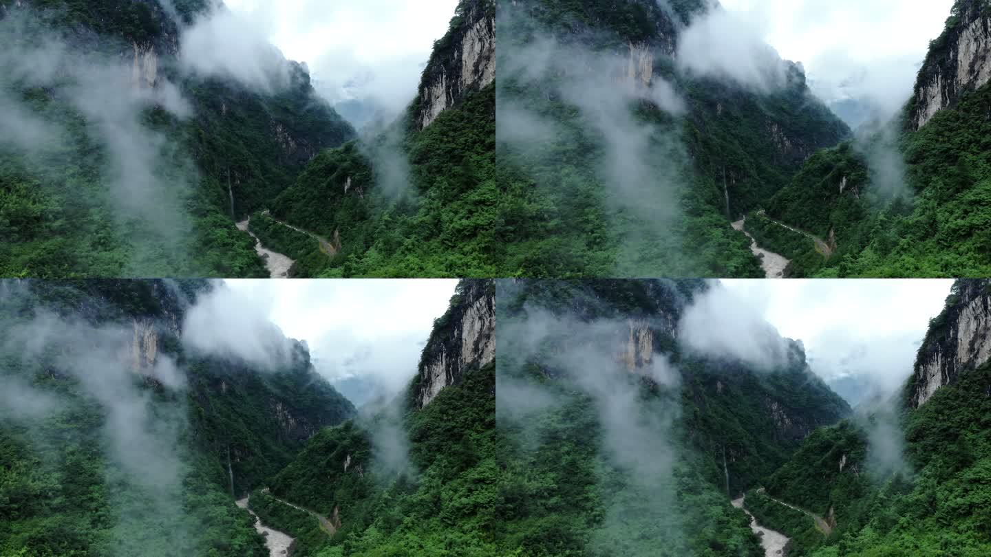 雾气弥漫的山谷