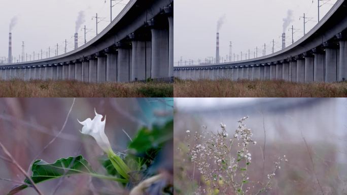 秋天，城市，高铁铁路桥