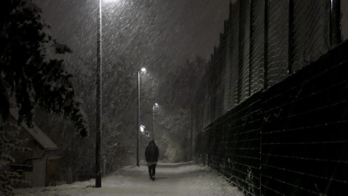 夜间大雪下雪鹅毛大雪走在雪中