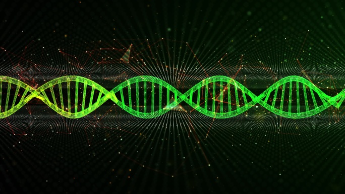 旋转DNA链的无缝循环动画