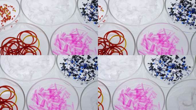 培养皿中的微型塑料废物组