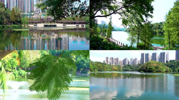 重庆九龙坡区城市彩云湖湿地公园