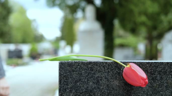 墓地悼念献花祭奠