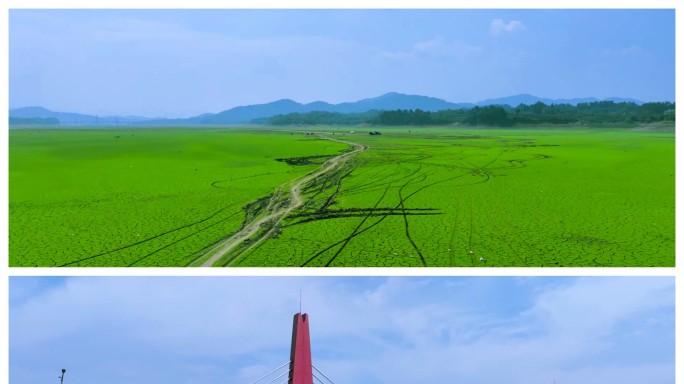 2022长江流域干旱干涸河床成为草原之路