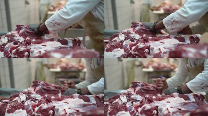 肉类工业屠宰场和食品加工