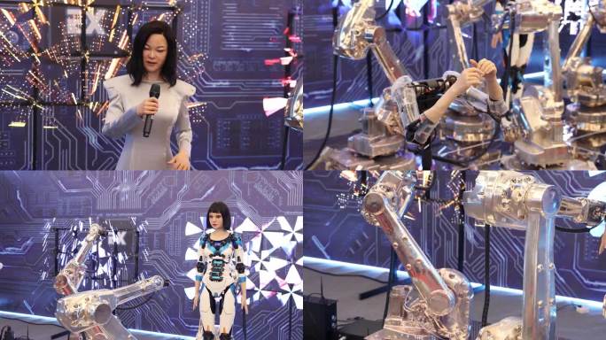 2022世界机器人大会：仿真机器人