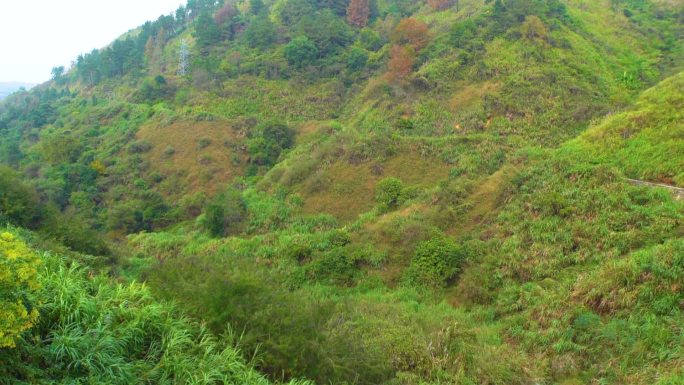 美丽风景 旅游 山