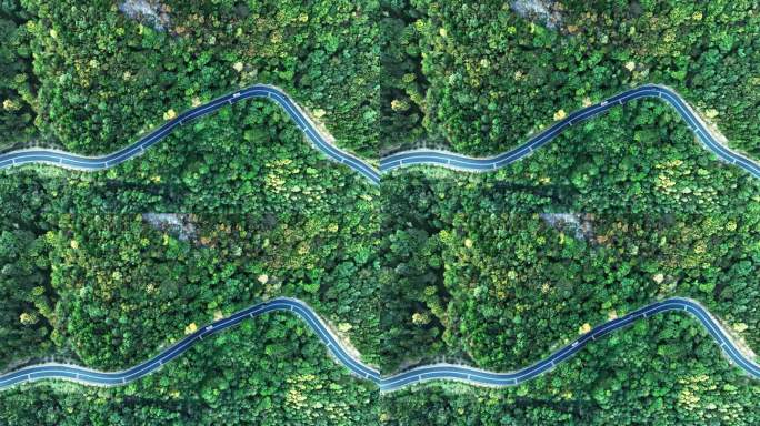 4K森林中公路上行驶的汽车航拍