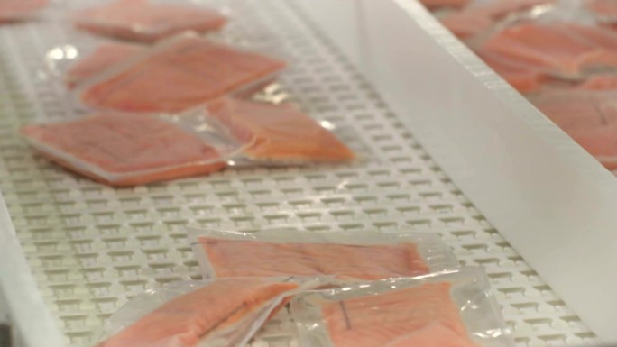 鲑鱼产业流水线冷鲜肉真空包装
