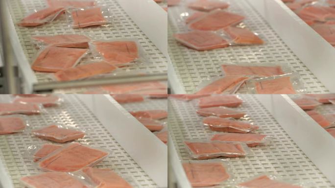 鲑鱼产业流水线冷鲜肉真空包装