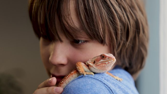 男孩用脸颊抚摸着蜥蜴的肩膀