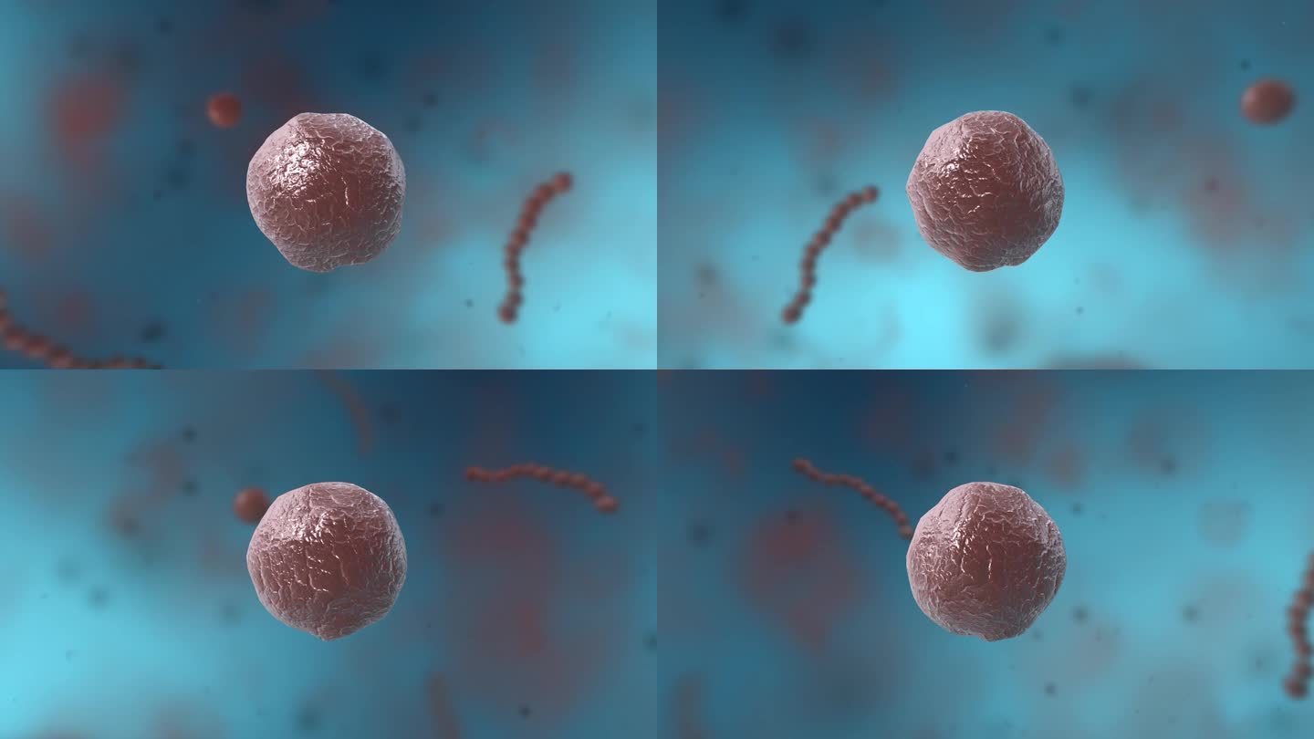细菌真菌细胞微生物球状菌病原体病菌细胞