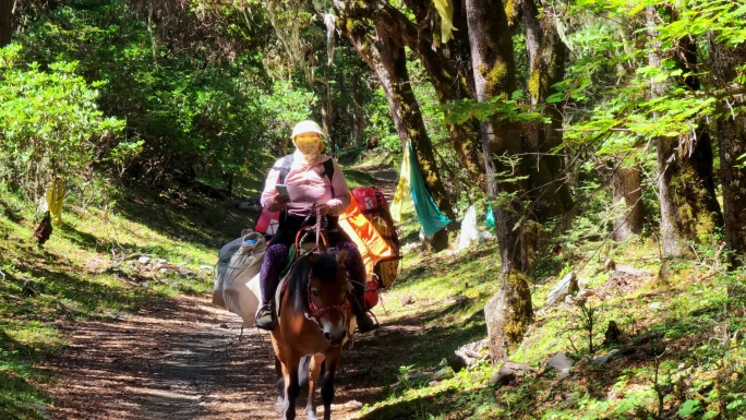 四川甘孜子梅村为登山者运输物资的马帮