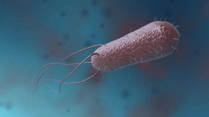 细菌真菌细胞微生物医疗科技病毒三维动画