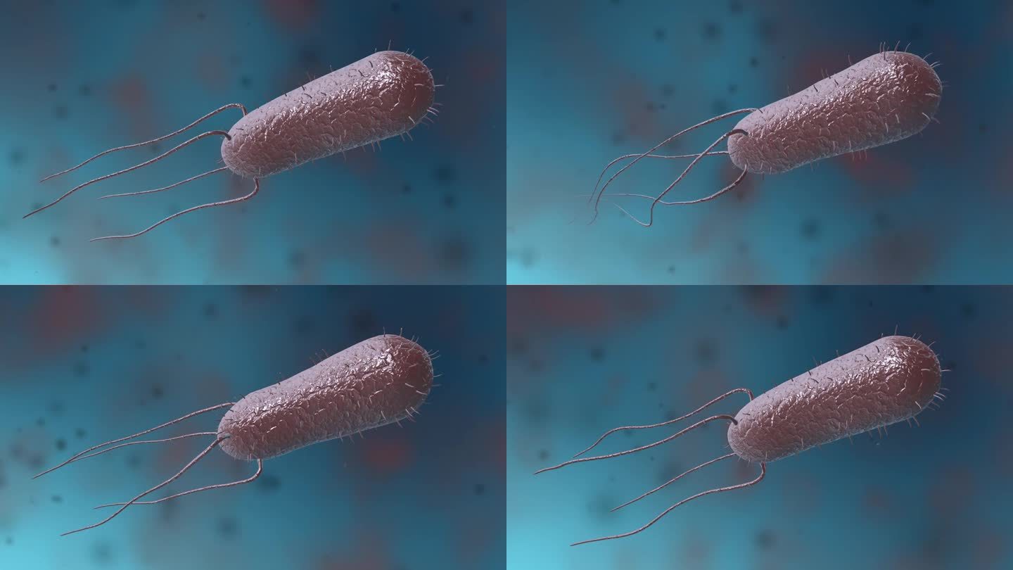 细菌真菌细胞微生物医疗科技病毒三维动画