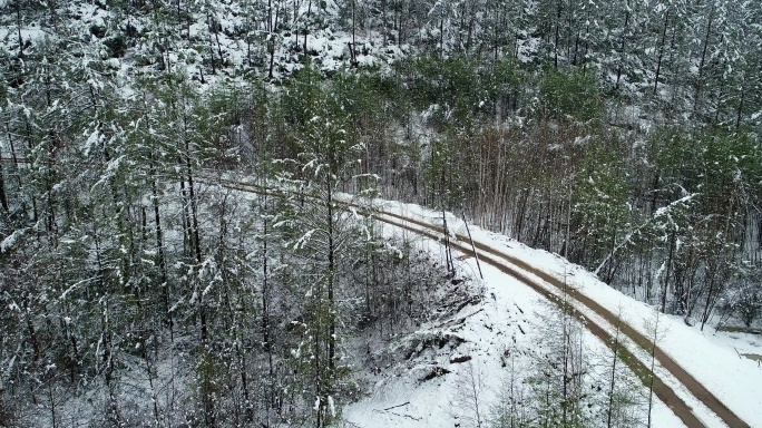 航拍春季森林降雪山路