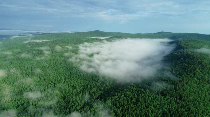 航拍绿色山林云雾缭绕
