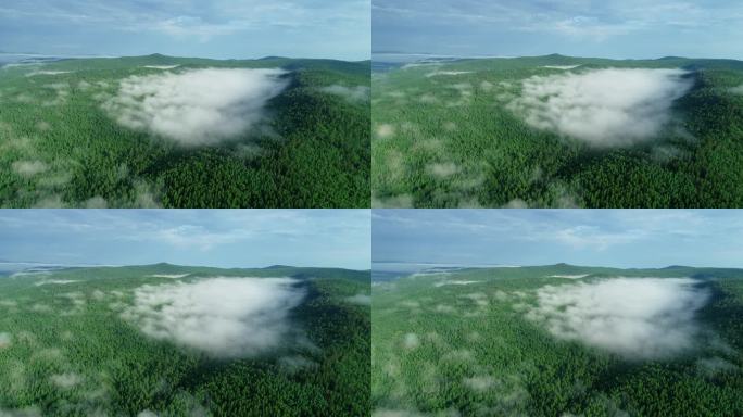 航拍绿色山林云雾缭绕