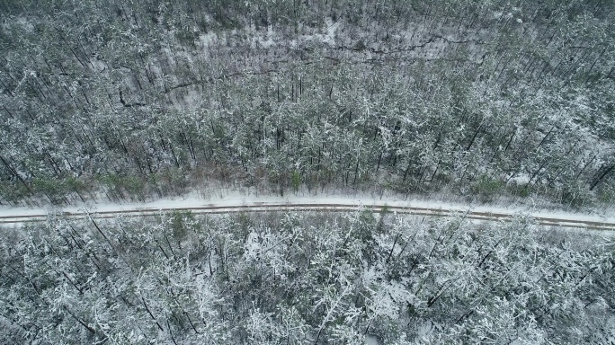 航拍春季森林降雪山路