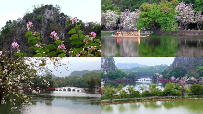 广东肇庆七星岩