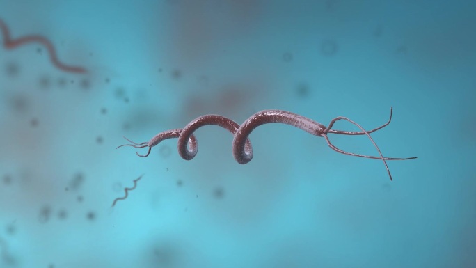 细菌真菌细胞微生物螺旋杆菌病菌医学动画