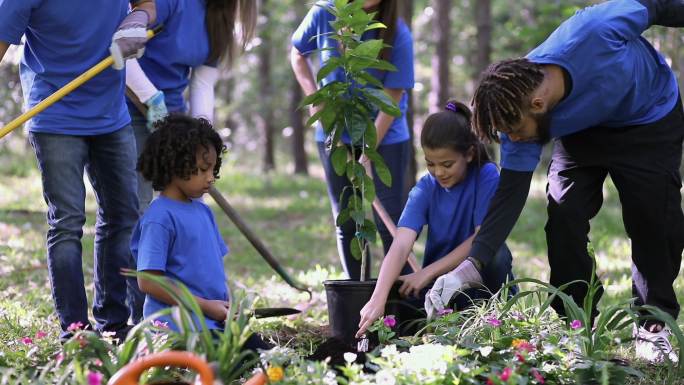 环境美化。志愿者在春天在公园里种花、种树、种草。