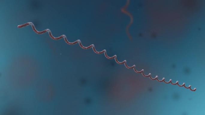 细菌真菌细胞微生物螺旋体显微镜形态展示