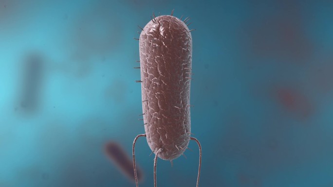 细菌真菌细胞微生物病原体病菌病毒三维动画