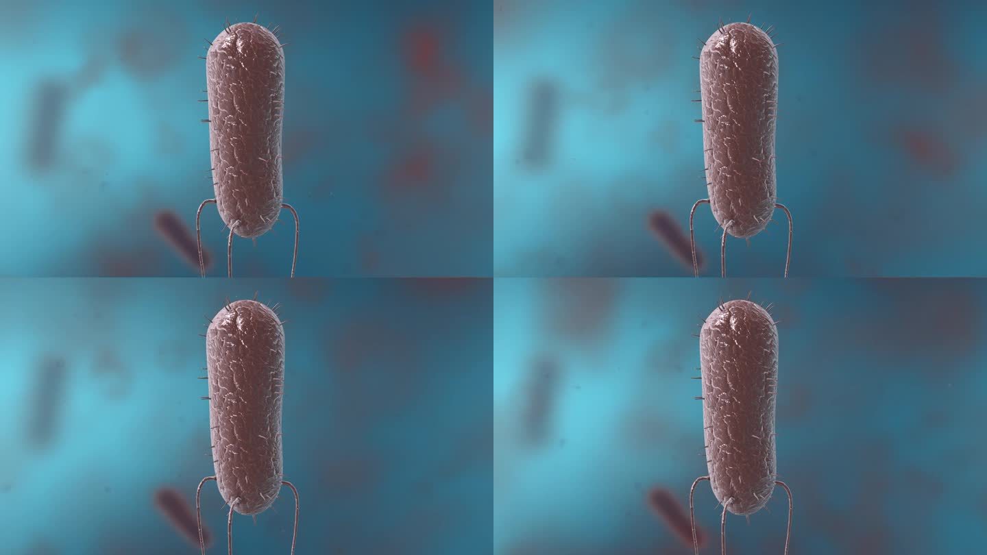 细菌真菌细胞微生物病原体病菌病毒三维动画