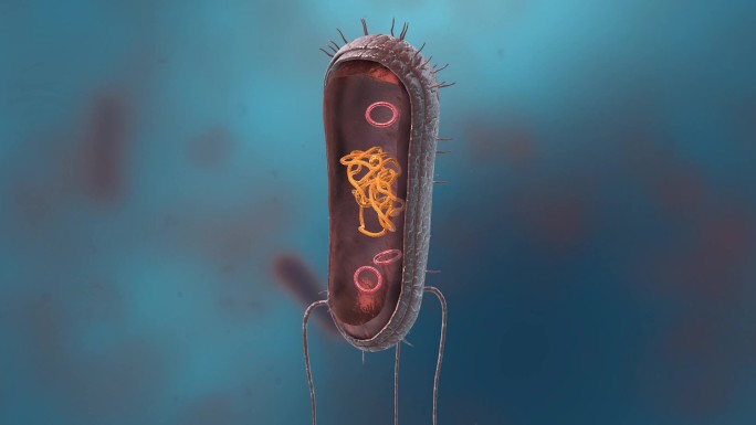 细菌真菌细胞微生物病菌病毒线粒体DNA