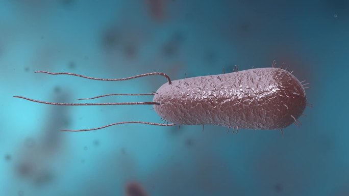 细菌真菌细胞微生物病菌传染病原体动画展示