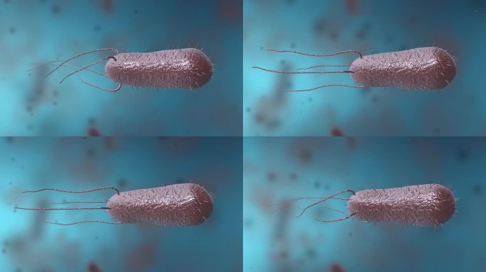 细菌真菌细胞微生物病菌传染病原体动画展示